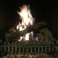 IMG_6762 IMG_6762
