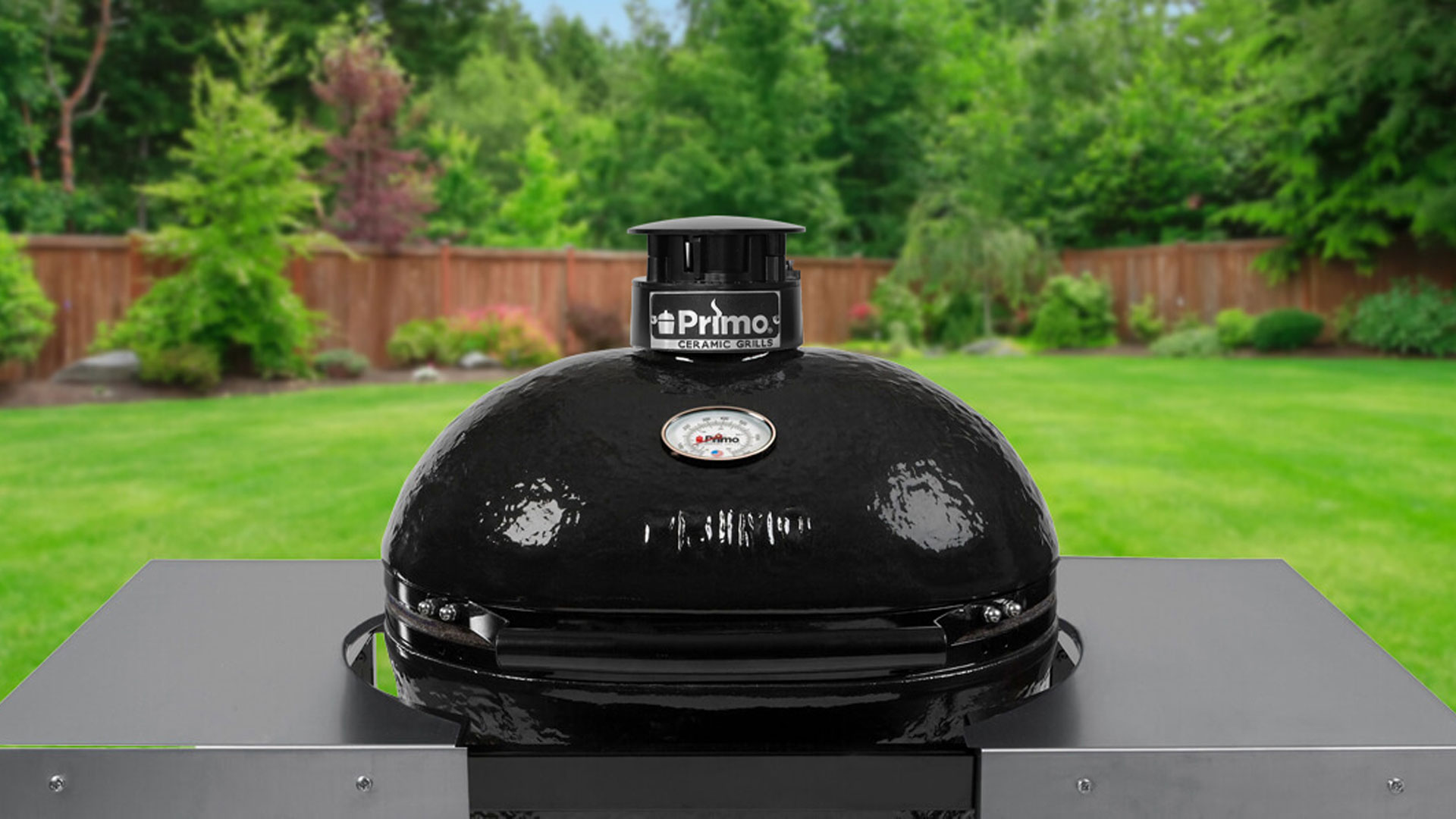 Primo grills large charcoal grill in yard