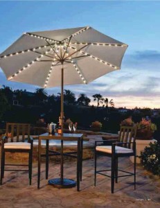 2016 TreasureGarden Catalog NP 715-page-033