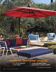 2016 TreasureGarden Catalog NP 715-page-126